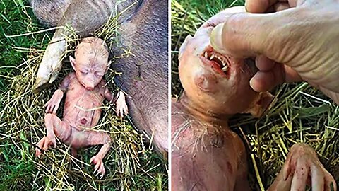 This Farmer Discovered Something Weird Under His Corn Field