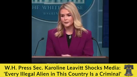 W.H. Press Sec. Karoline Leavitt Shocks Media: 'Every Illegal Alien in This Country Is a Criminal'