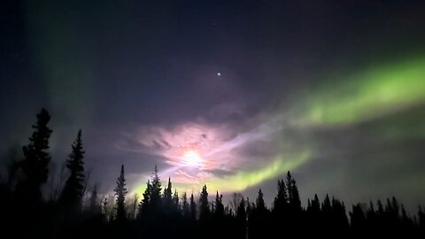 Hunting the aurora borealis with Dene guide, Joe Buffalo Child#rumble #subaru #subie