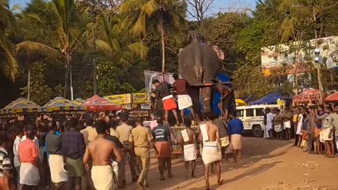 കൊല്ലാനുള്ള ദേഷ്യം ഉണ്ട്