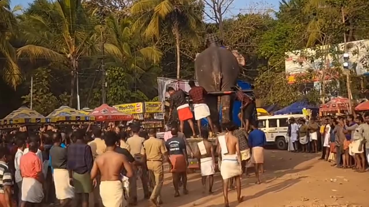 കൊല്ലാനുള്ള ദേഷ്യം ഉണ്ട്