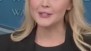 Press Secretary Karoline Leavitt slamming recent comments from Democrats about DOGE and Musk