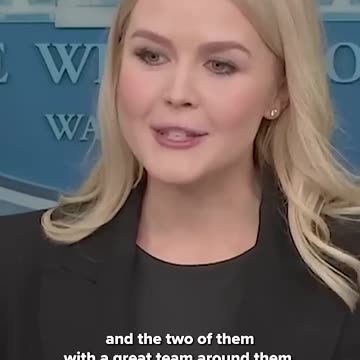 Press Secretary Karoline Leavitt slamming recent comments from Democrats about DOGE and Musk
