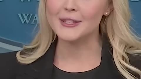 Press Secretary Karoline Leavitt slamming recent comments from Democrats about DOGE and Musk