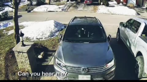 The Moment a Dog Stopped a Truck Driver to Save Her Owner`s Life