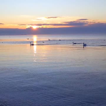 The International Maritime Airport of Yevpatoria accepts the first flights