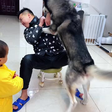 Man Vs Dog Fighting To Food Funny Video 2025 skc.com 13