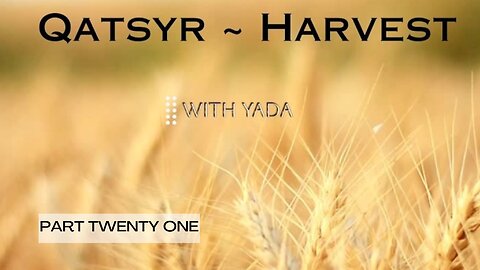 Qatsyr ~ Harvest Part Twenty One 25 February 2025