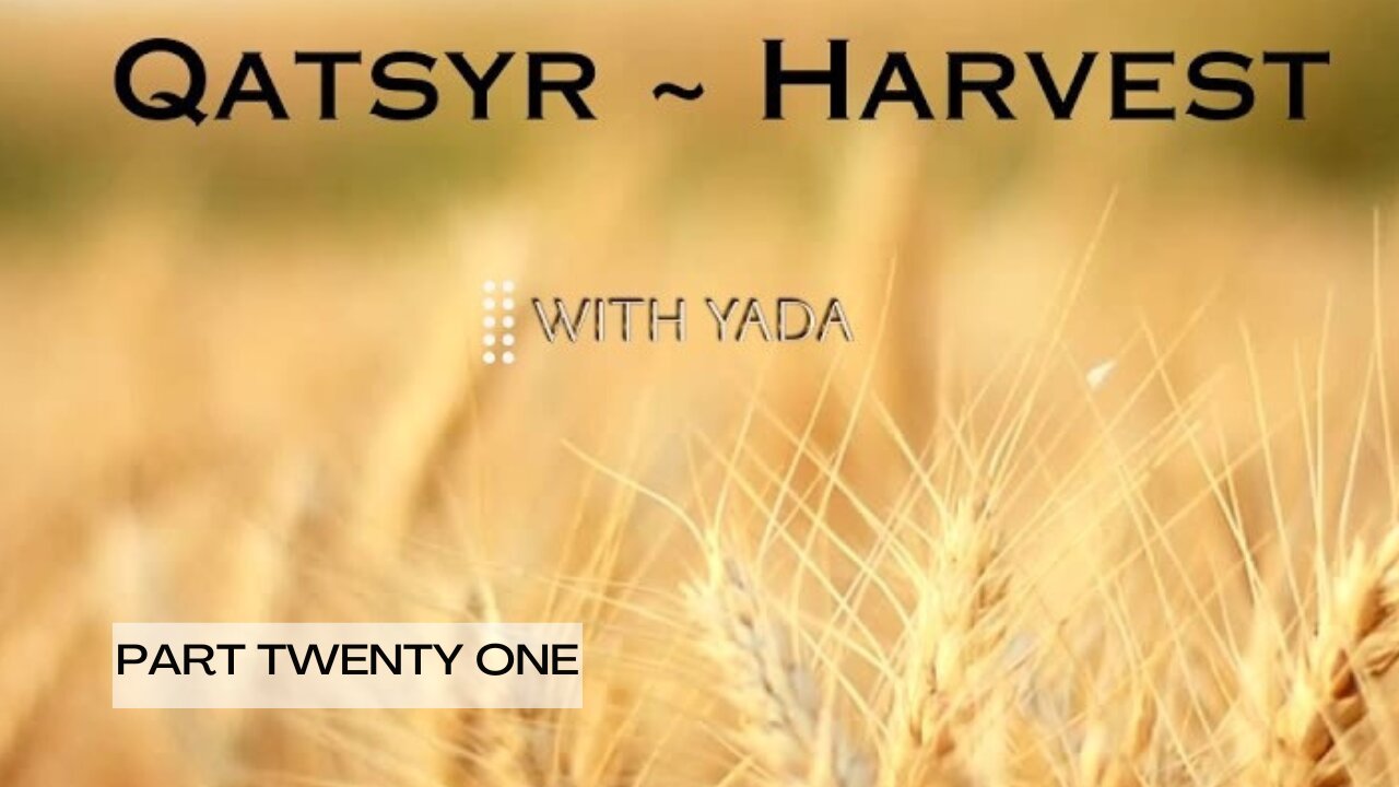 Qatsyr ~ Harvest Part Twenty One 25 February 2025