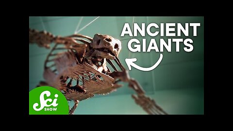 The Largest Sloth in History & Other Insanely Large Animals