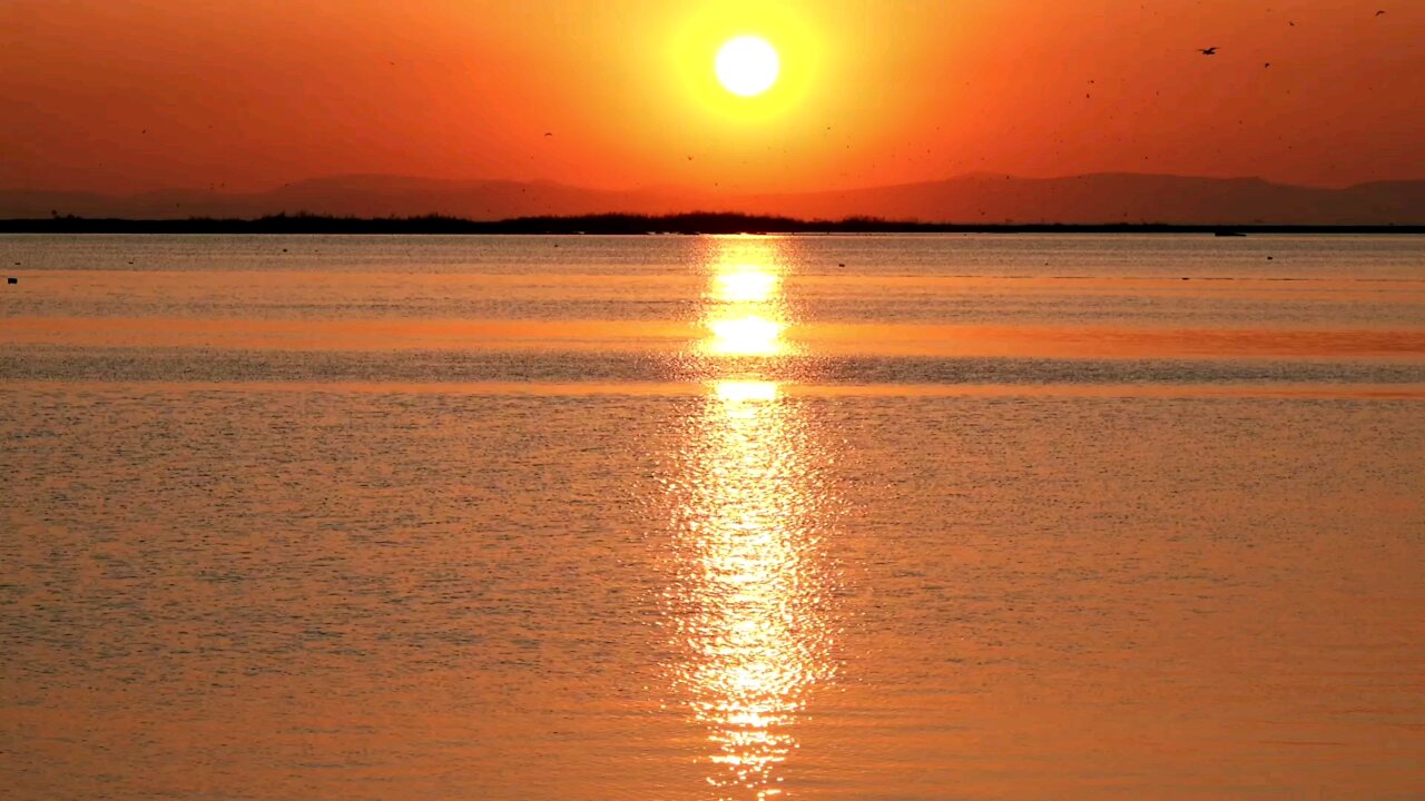sunrise