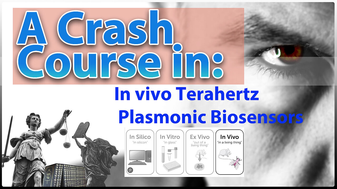 Crash Course: In Vivo TeraHertz Plasmonic Biosensors