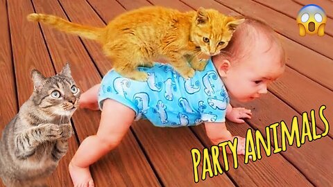 Funniest ANIMALS Videos 2025 That Will Make You Laugh To Tear | Funny video