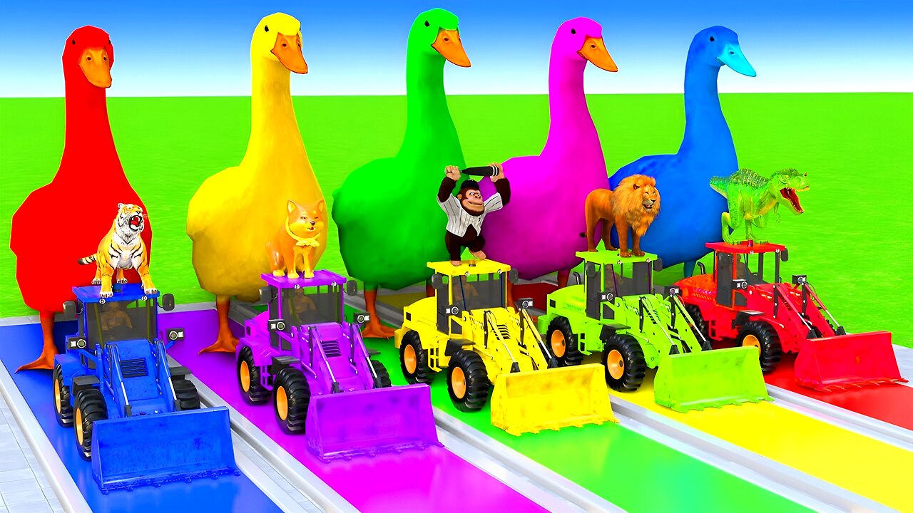 5 Giant Duck Cartoon & Wild Animals Crossing Fountain | Animated Kids Video