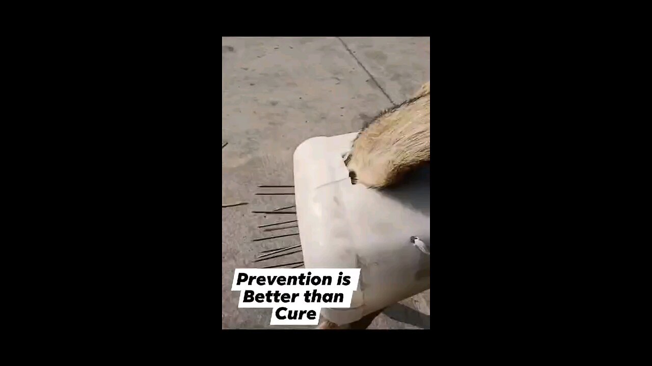 नसबंदी का देसी जुगाड़.....😂🤣