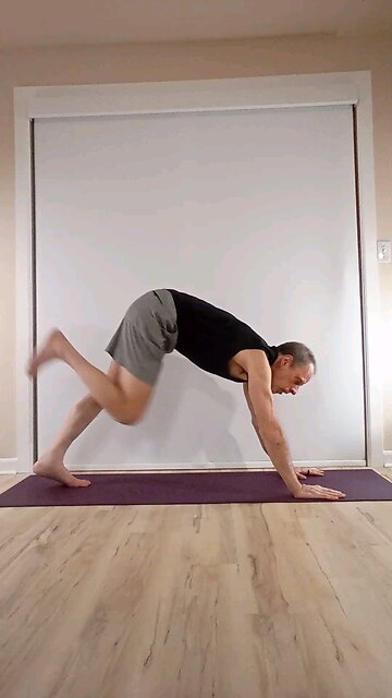 Foot behind head pigeon