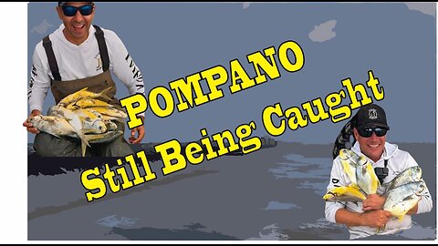 Still Watching Pomp. Your Best Damn Surf Fishing Report 12-26-24