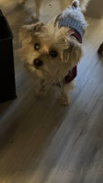 Psalm 20 may God grant you according to your heart desire, fulfill all your purpose