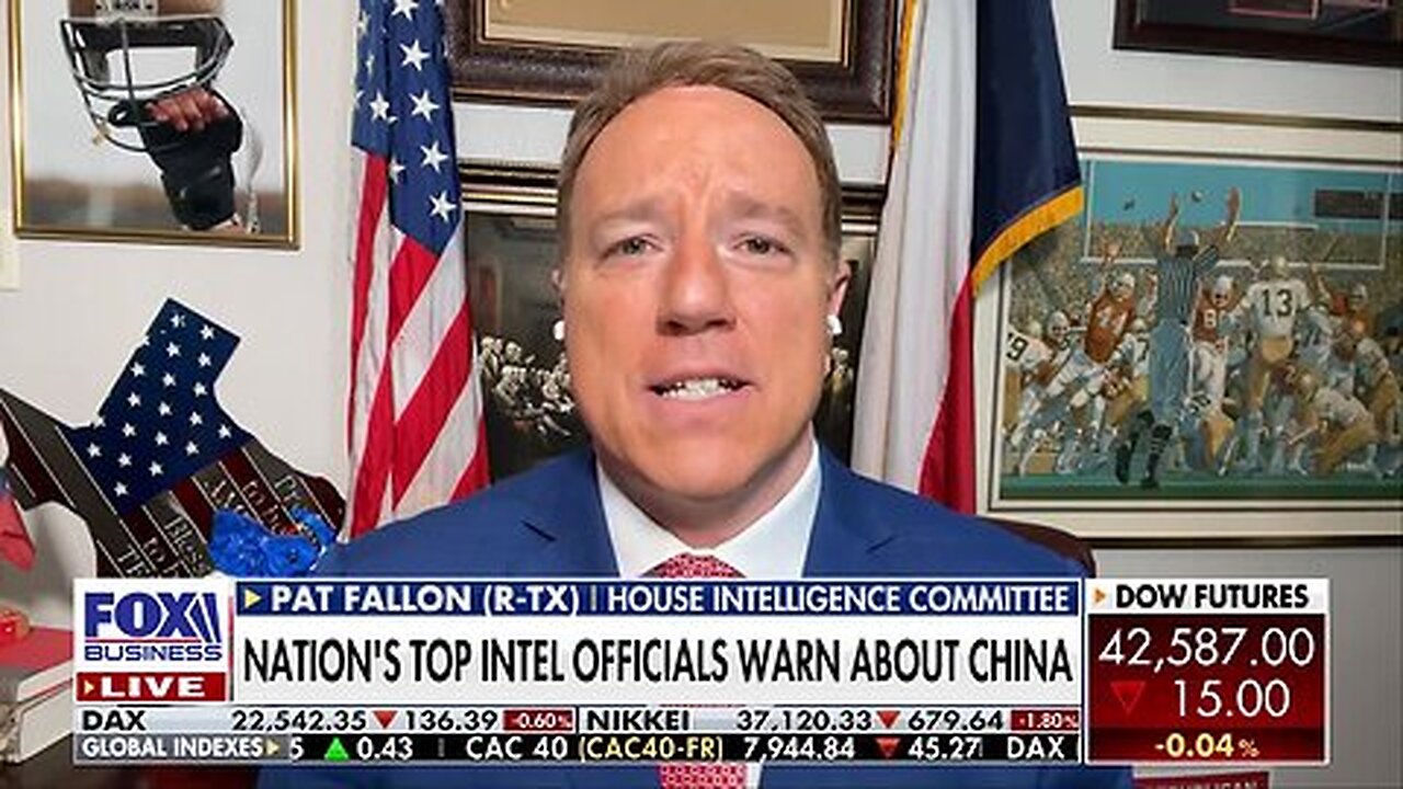 DOGE committee '100%' wants to defund PBS, NPR: Rep. Pat Fallon