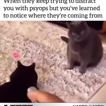 Unpsyopable Unfookwitable