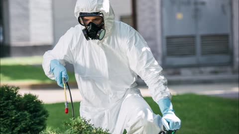 Panic Pest Control