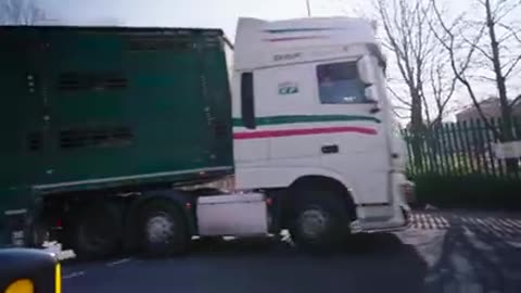 Pignorant Movie Trailer