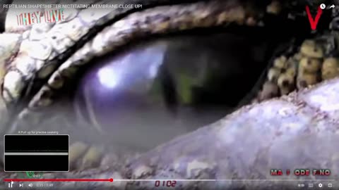 REAL PROOF OF DEMON POSSESSION, [ SLIT PUPILS ] ...SNAKE EYES...[THIS IS NOT FAKE ]