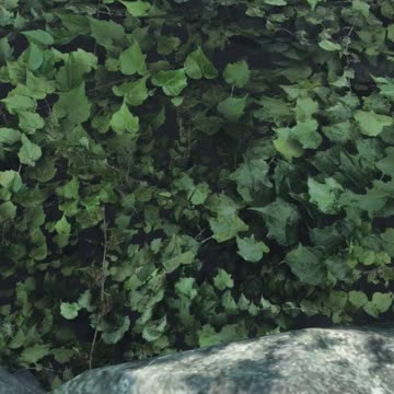 When Exploring A Cave In DayZ Goes Wrong