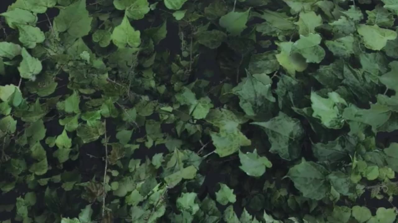 When Exploring A Cave In DayZ Goes Wrong