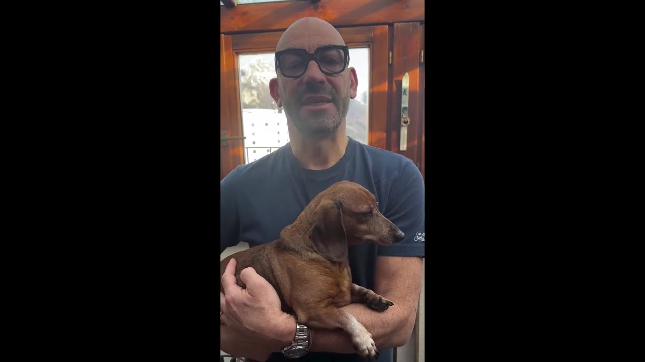 Bassetti - Una bambina di nove mesi è stata sbranata ed uccisa da un pitbull (21.02.25)