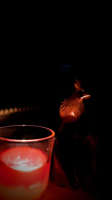 YOU MUST HAVE GOOD HOUSE INSURANCE TO KEEP ME IN YOUR HEADSPACE.