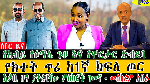 የአብይ የሶማሌ ጉዞ እና የሞርታር ድ*ብ*ደ*ባ / የክተት ጥሪ ከ1ኛ ክፍለ ጦር / አቃቢ ህግ ያቀረባቸው ምስክሮች ገመና - መስከረም አበራ