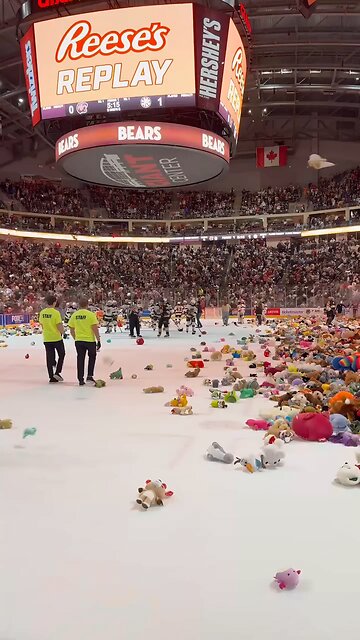 I can't believe this love