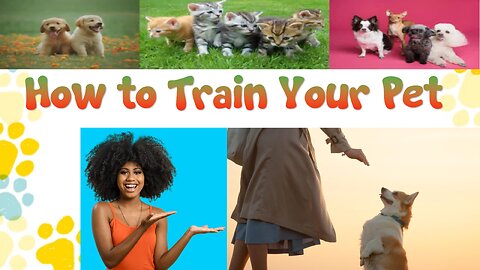 How to Train Your Pet to Be More Obedient