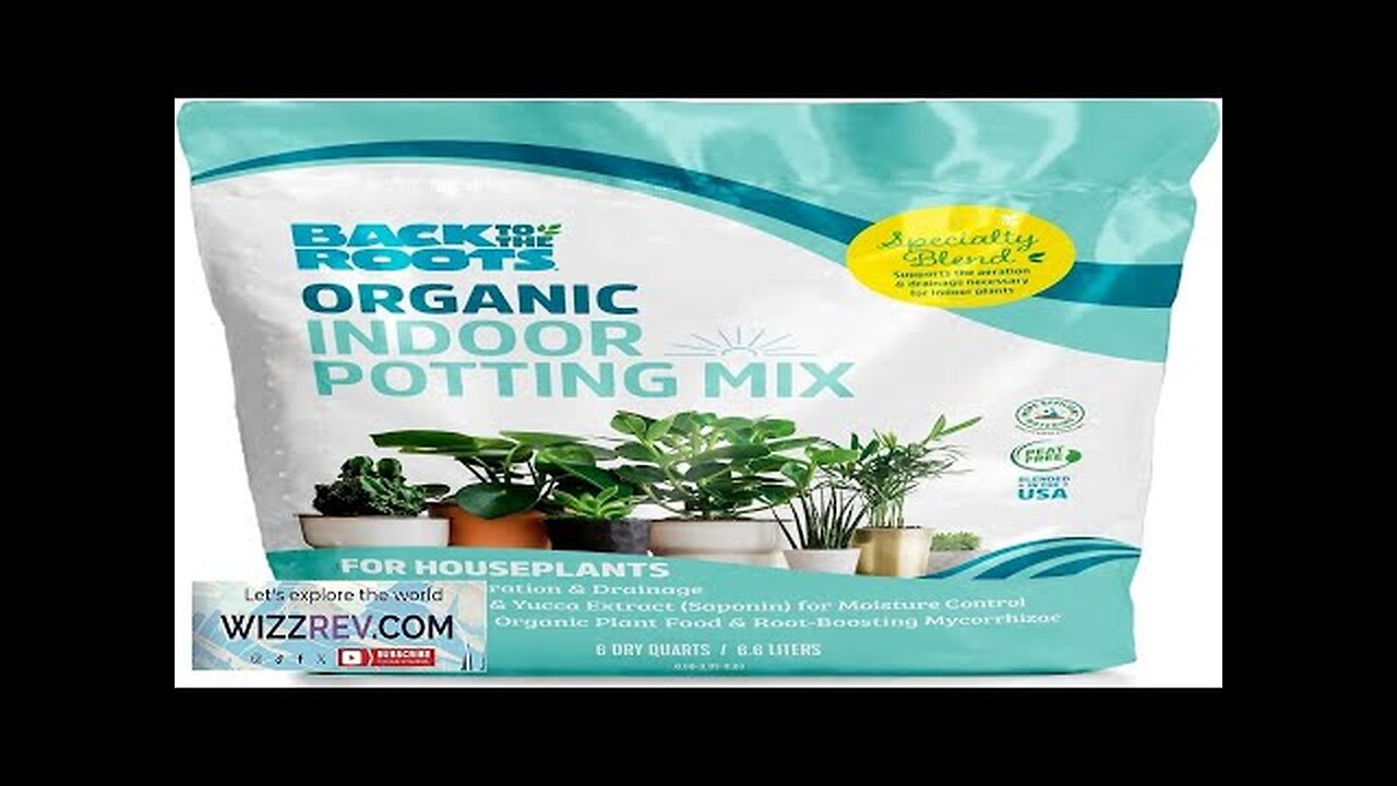 Back to the Roots 100% Organic Indoor Potting Mix (6 Quart) Promotes Review