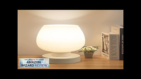 Touch Bedside Table Lamp Modern Small Lamp for Bedroom Living Room Review