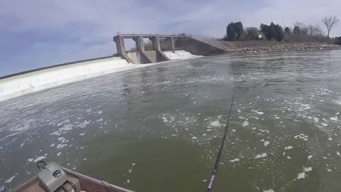 Mixed bag this week and the walleye run is slowing down.