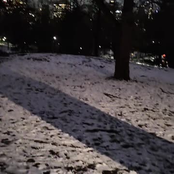 Democrats and republicans want to BAN TikTok in the USA.