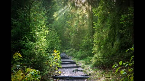 Mindful Harmonies for Inner Peace