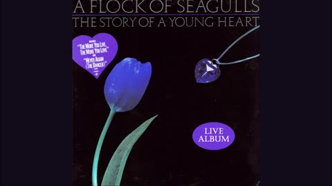 A Flock of Seagulls - The Story of a Young Heart (Live Album)