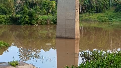 24.12.2024 The Barron River, Kuranda