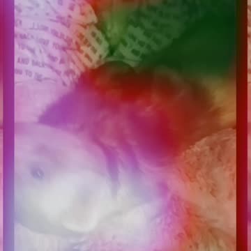 Ferret wake up time!!