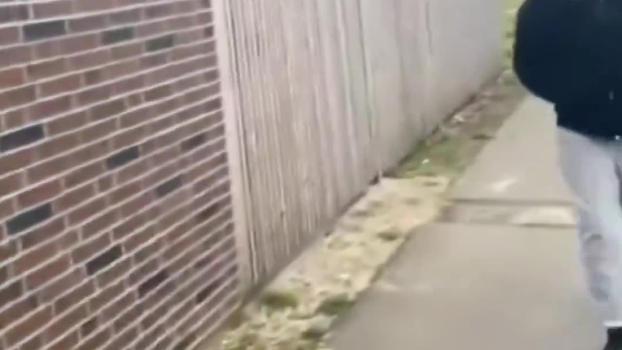 Young German mother out for a walk with her children is chased and harassed