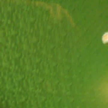 old mc videos from when i was 14