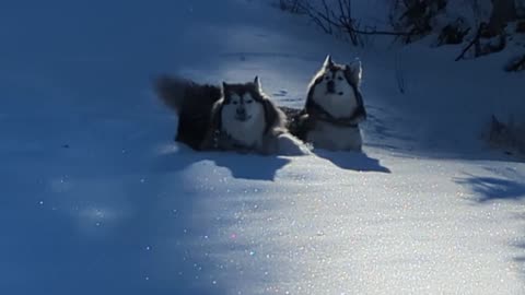 Winter Confetti!