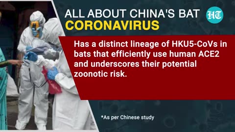 Chinese researchers have found a new bat coronavirus