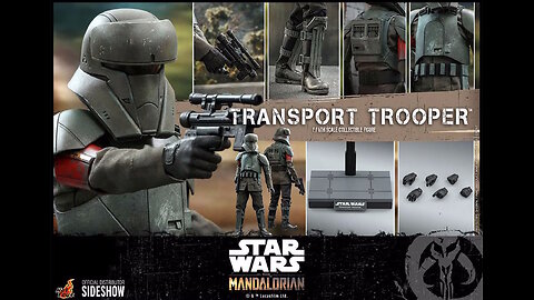 Star Wars: The Mandalorian Action Figure 1/6 (Transport Trooper 31 cm) [By Hot Toys]