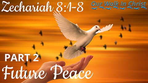 Future Peace Part 2 | Zechariah 8:4-8