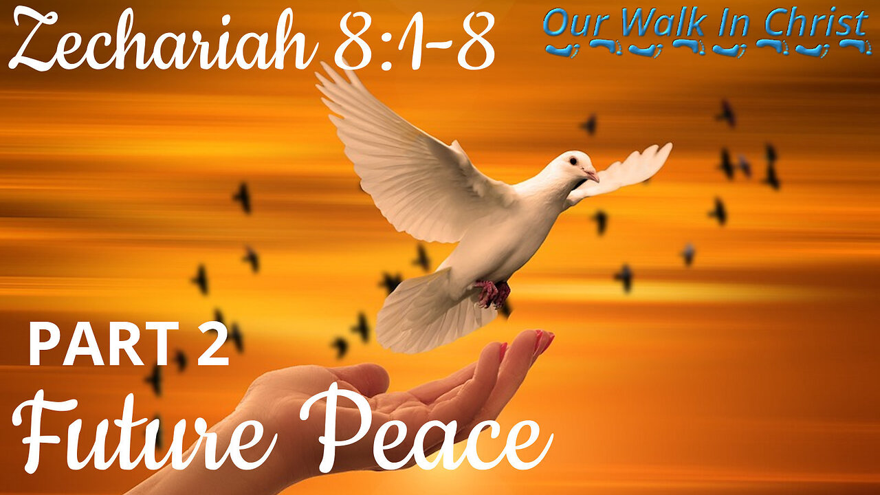 Future Peace Part 2 | Zechariah 8:4-8