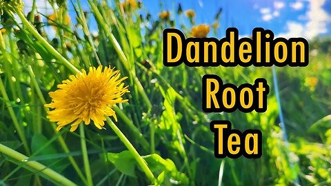 Did you know Dandelion greens can be cooked? #healthy eating #nutritious #antioxidants